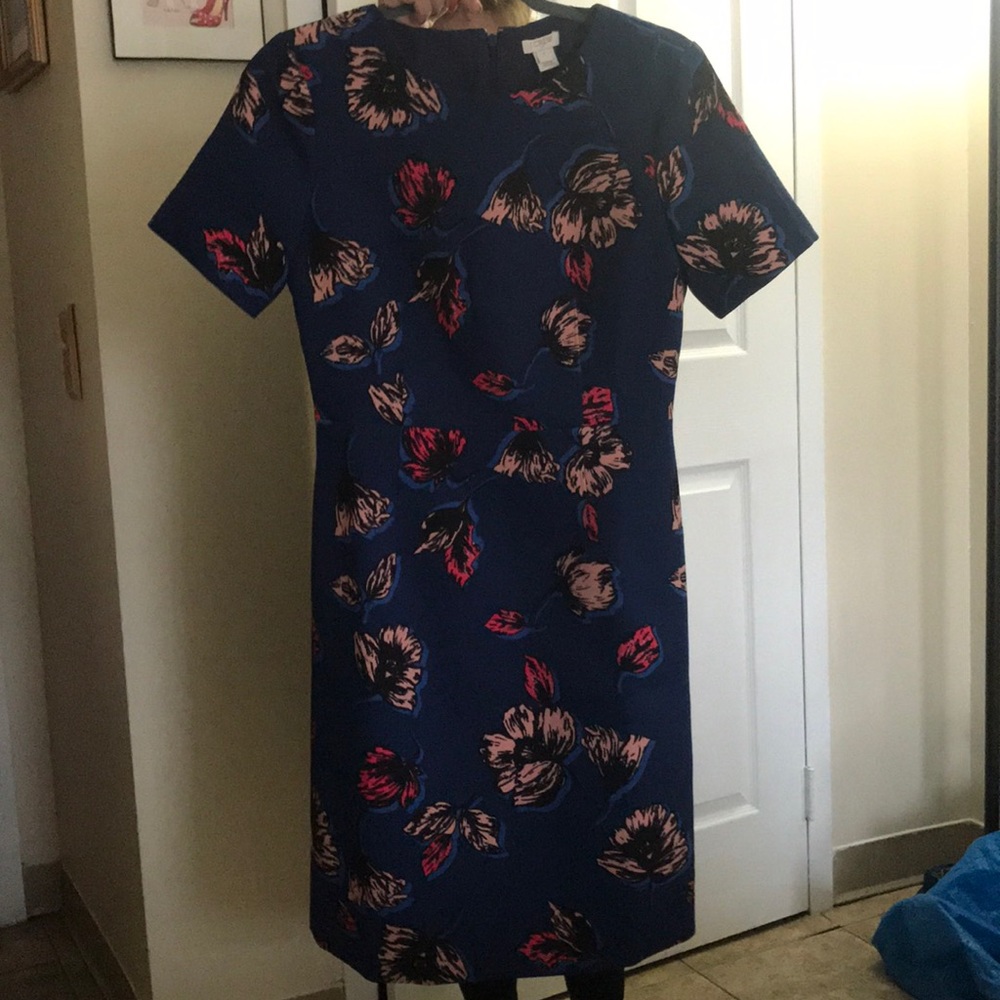 Never worn Spring/Summer J Crew Dress!